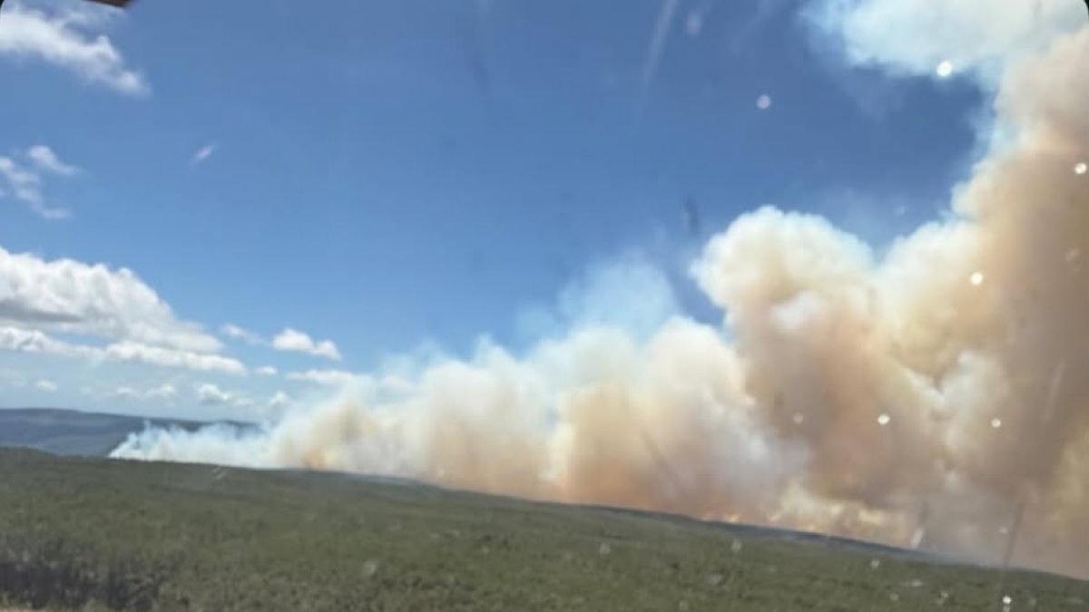 Cierran el Parque Nacional Sierra de Bahoruco por incendio forestal
